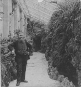 William KNOWLES c1887