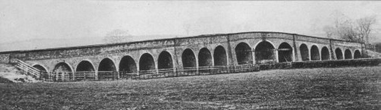 Travis' Folly, Shottle